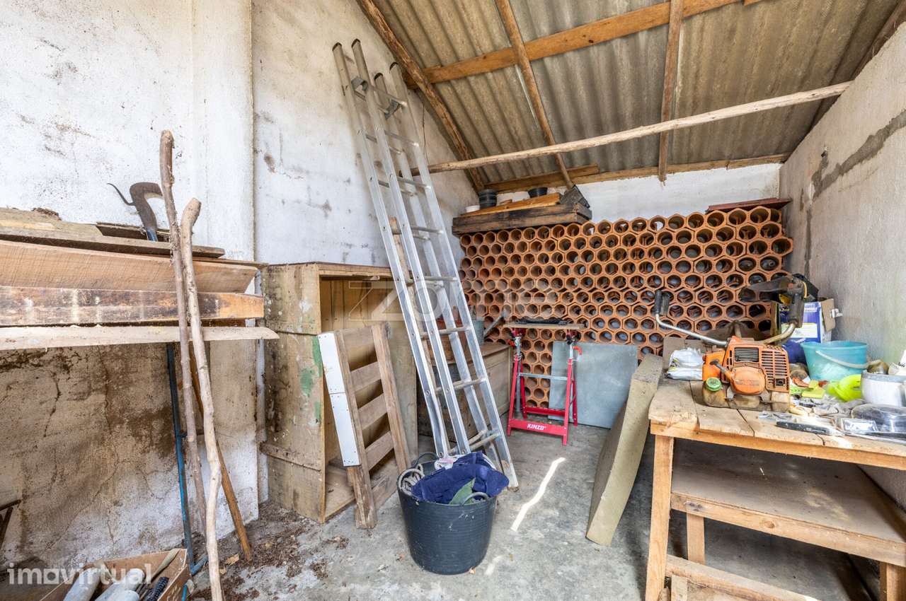 Terreno com Casa de Apoio Agrícola em Tomar - Grande imagem: 4/43