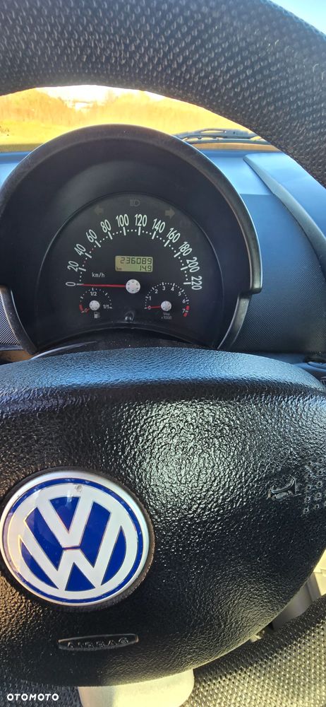 Volkswagen New Beetle - 12