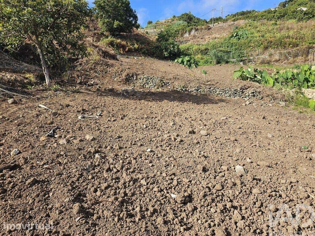 Terreno Agrícola em Porto da Cruz - Grande imagem: 3/7