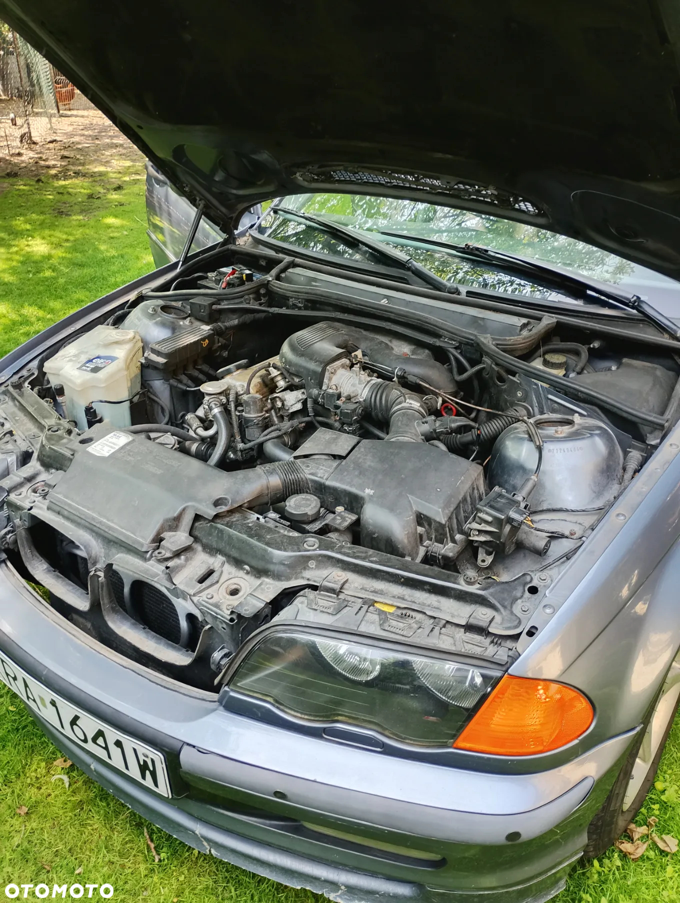 BMW Seria 3 318i - 5
