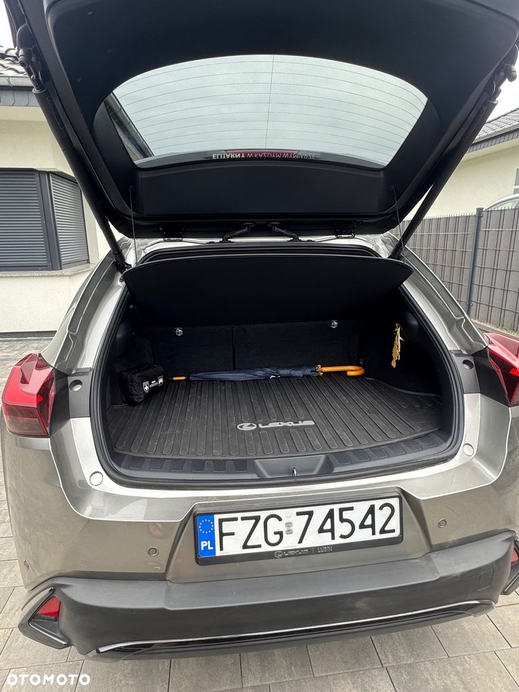 Lexus UX 250h F Sport 2WD - 7