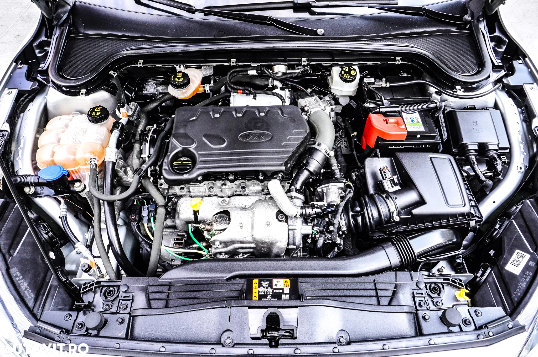 Ford Focus 1.5 EcoBlue Titanium Business - 34