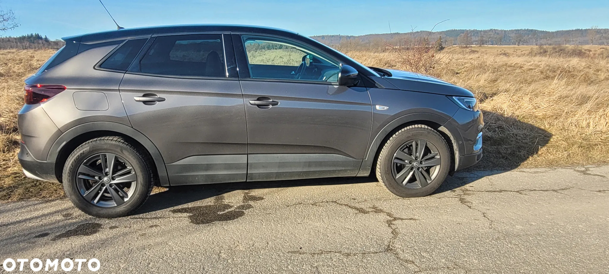 Opel Grandland X - 3
