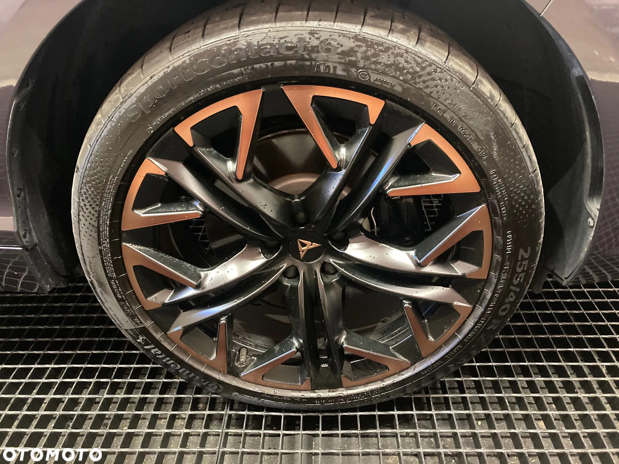 Cupra Terramar - 7