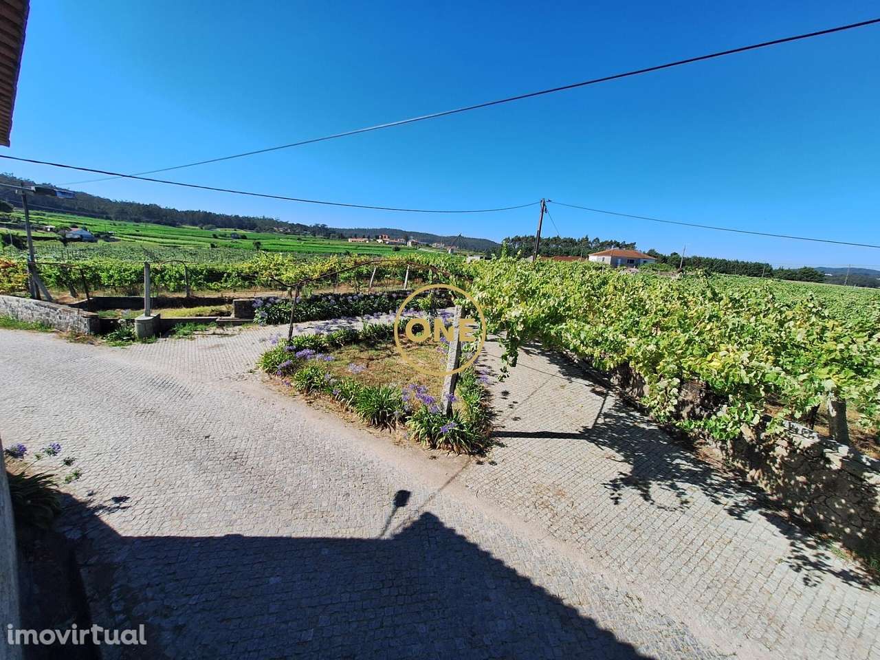 Terreno de 2,5 hectares com produção agrícola, uvas e kiwis com área p - Grande imagem: 2/22