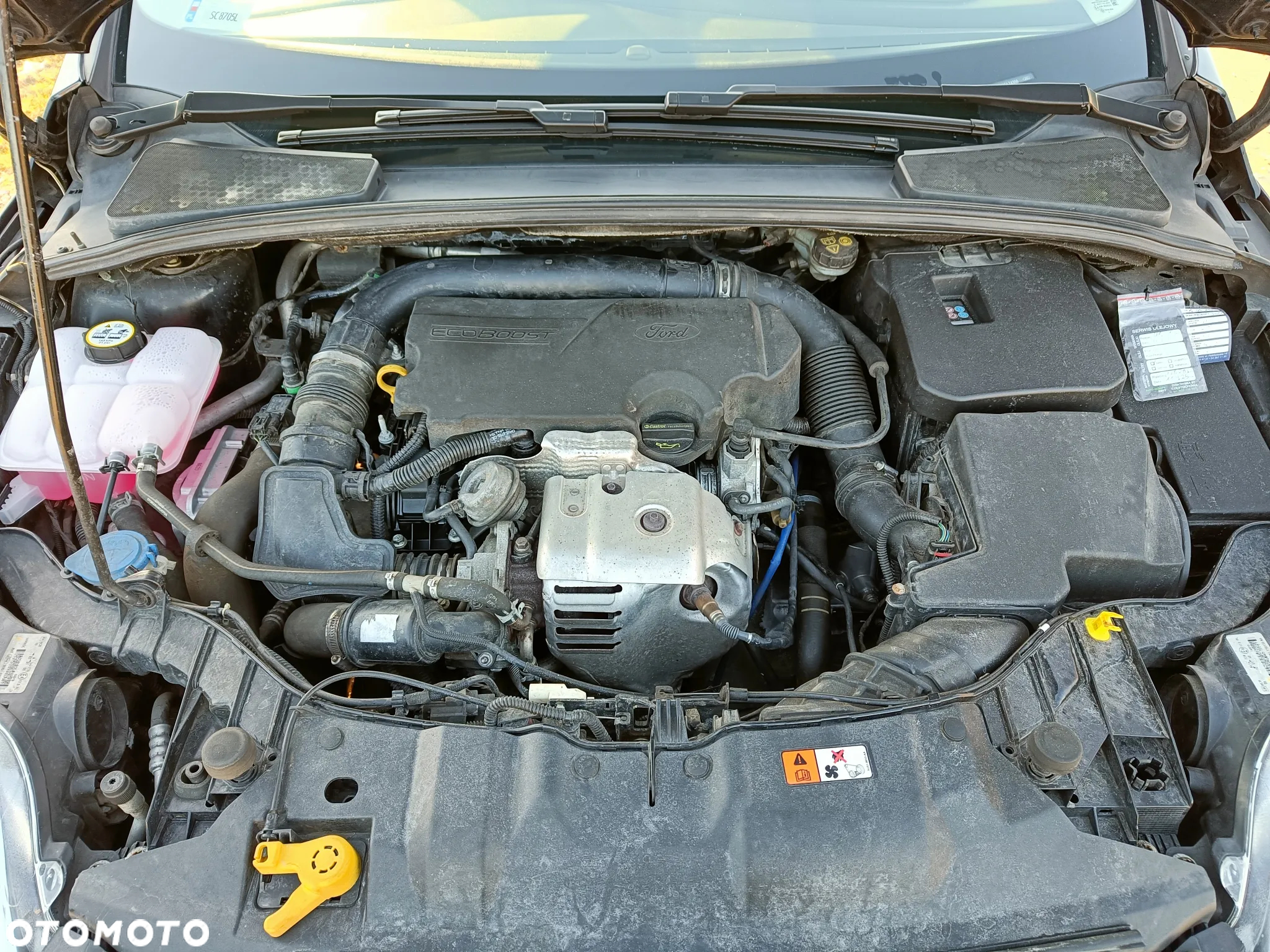 Ford Focus - 12