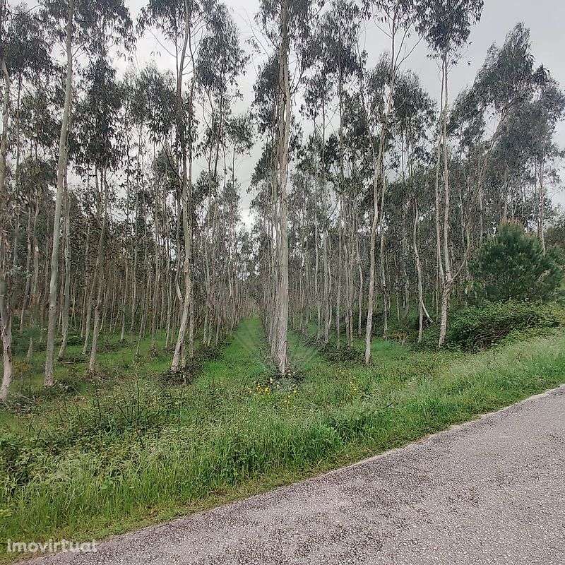 Terreno  para venda - Grande imagem: 4/10