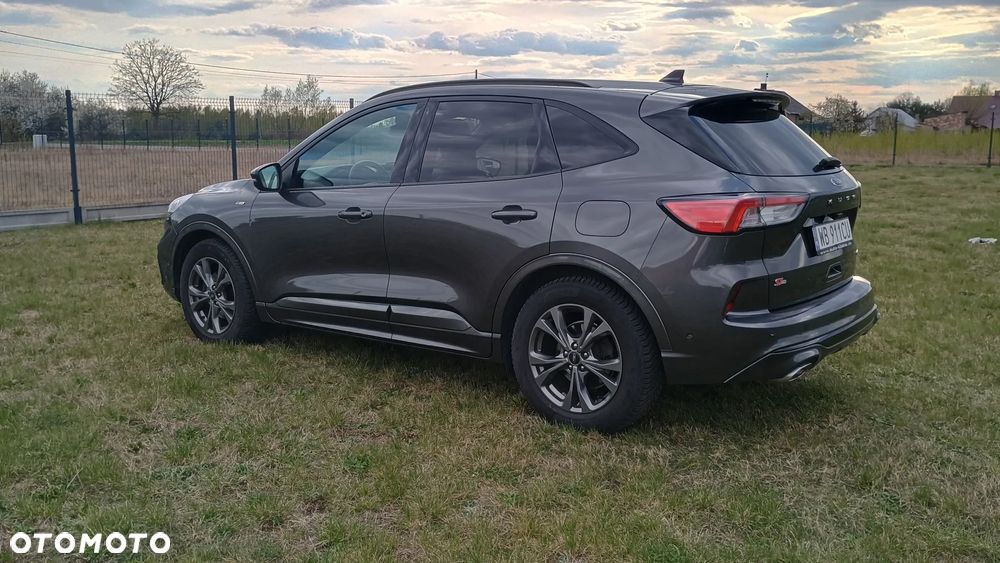 Ford Kuga 2.0 EcoBlue Hybrid ST-LINE X - 5