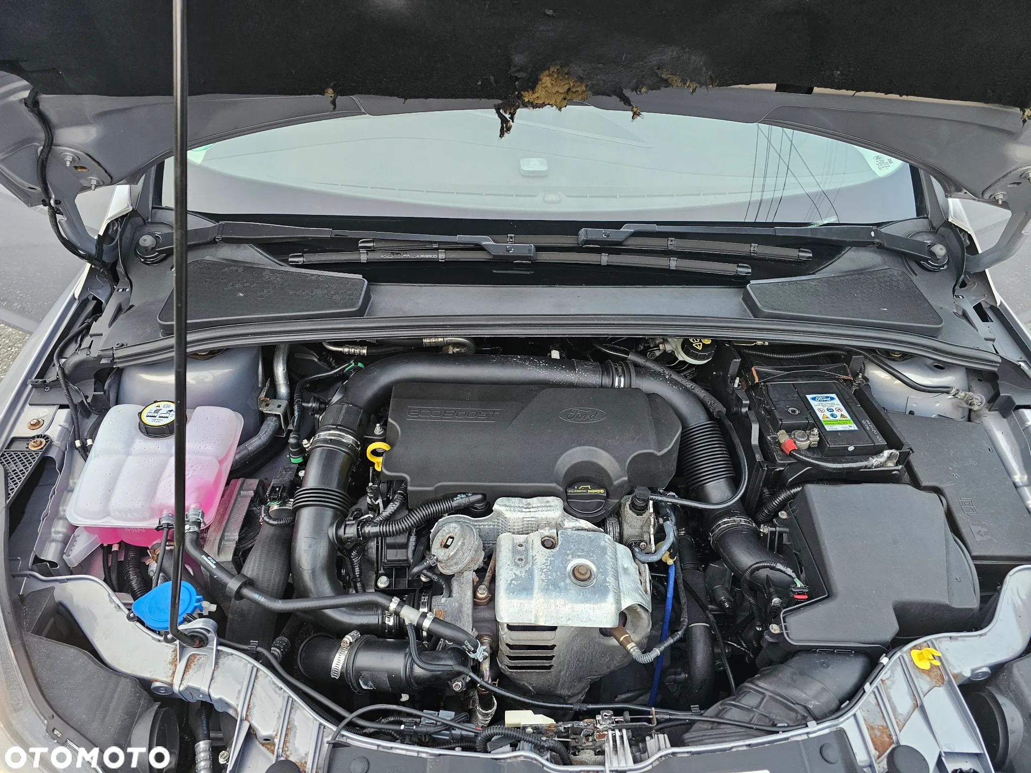 Ford Focus 1.0 EcoBoost Edition - 4