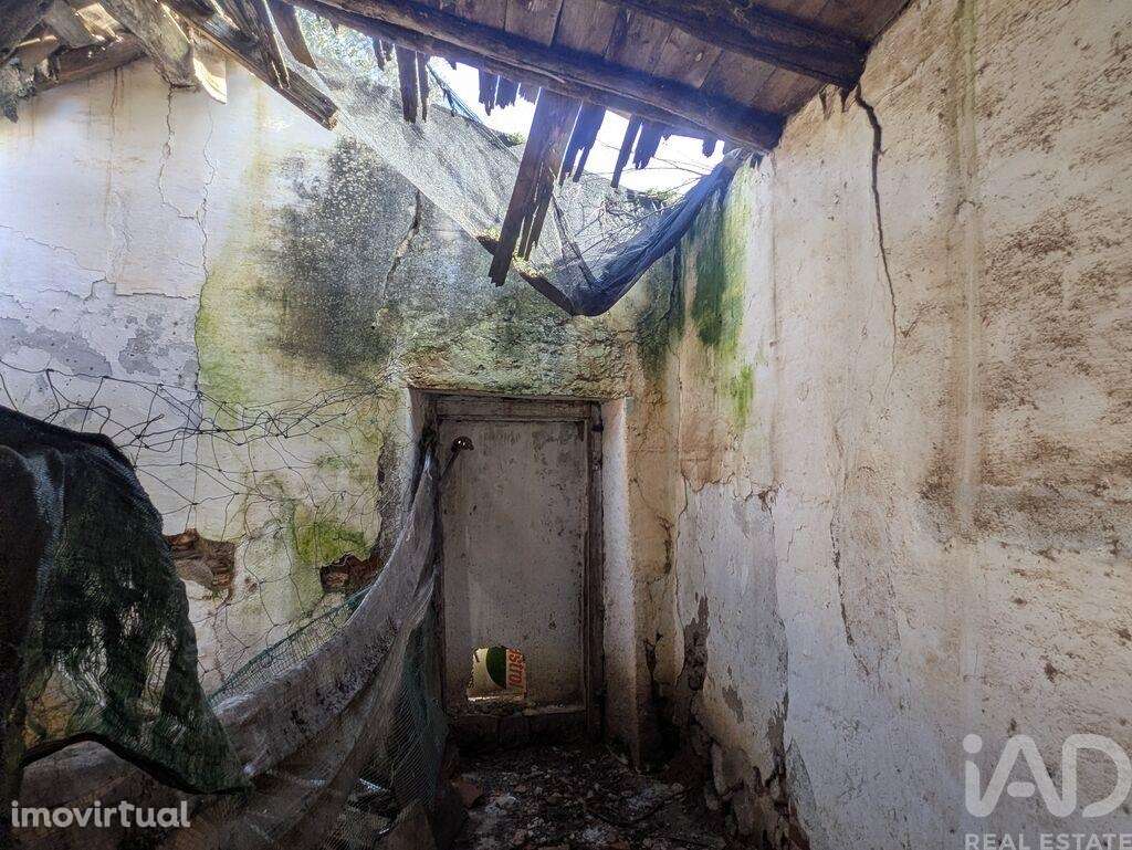 Casa / Villa T1 em Fronteira de 45 m2 - Grande imagem: 4/10