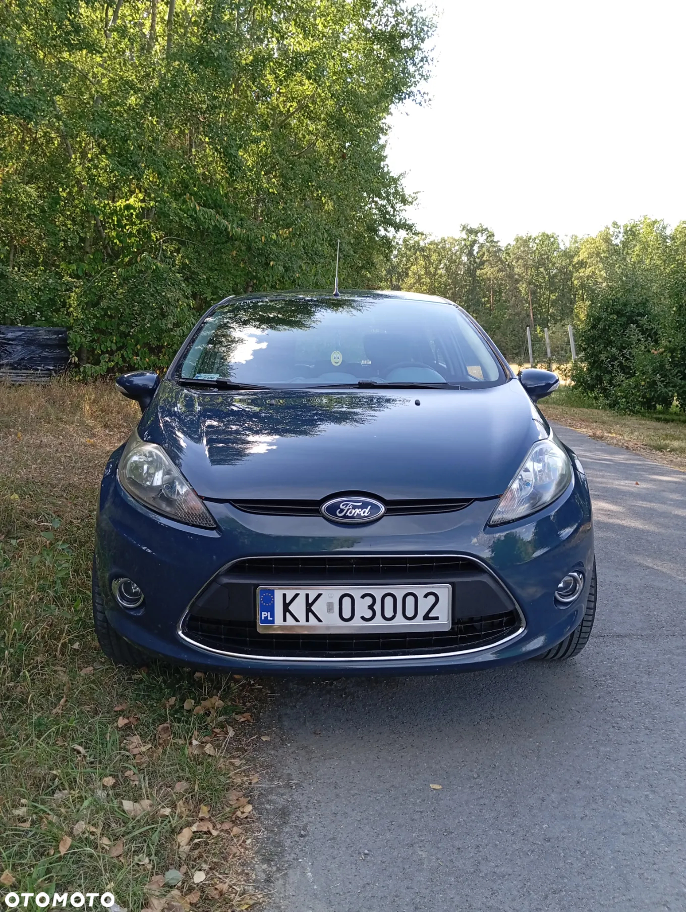 Ford Fiesta - 5