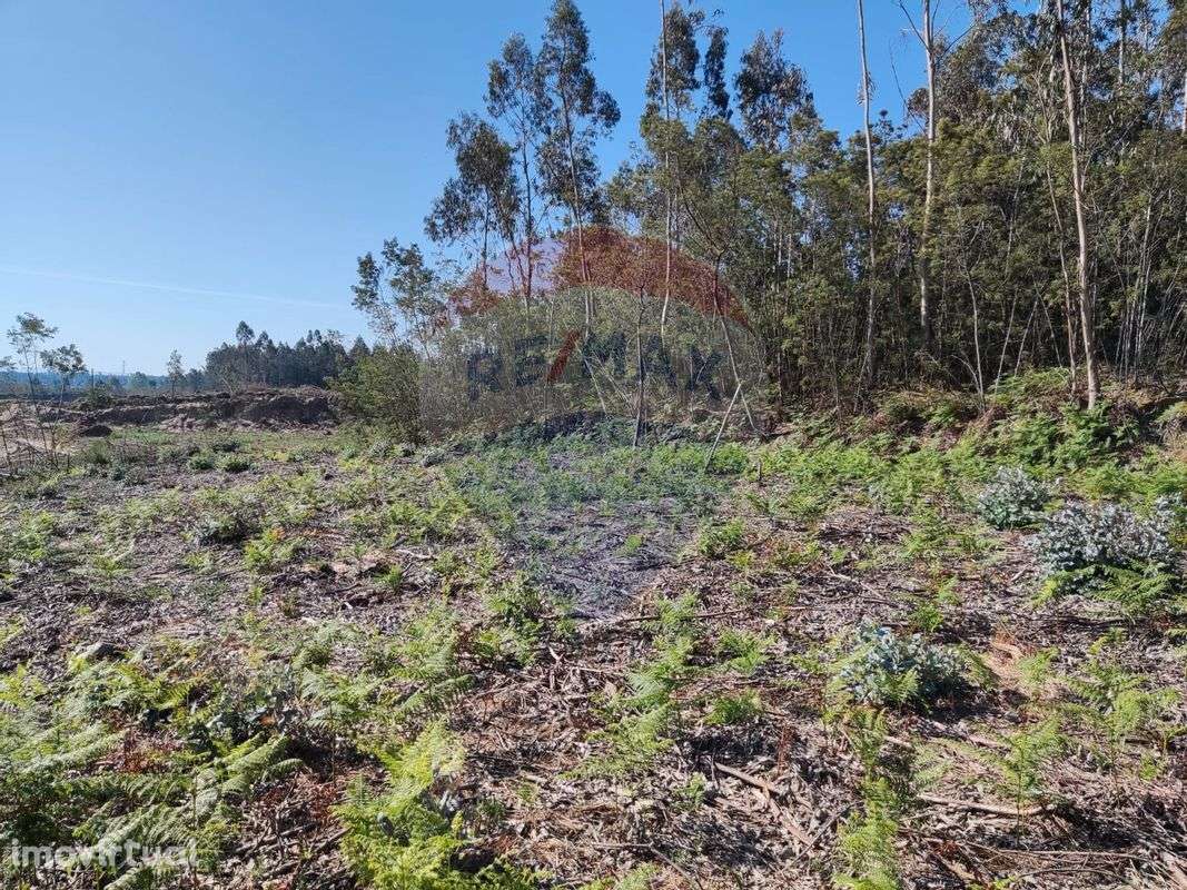 Terreno  para venda - Grande imagem: 4/9