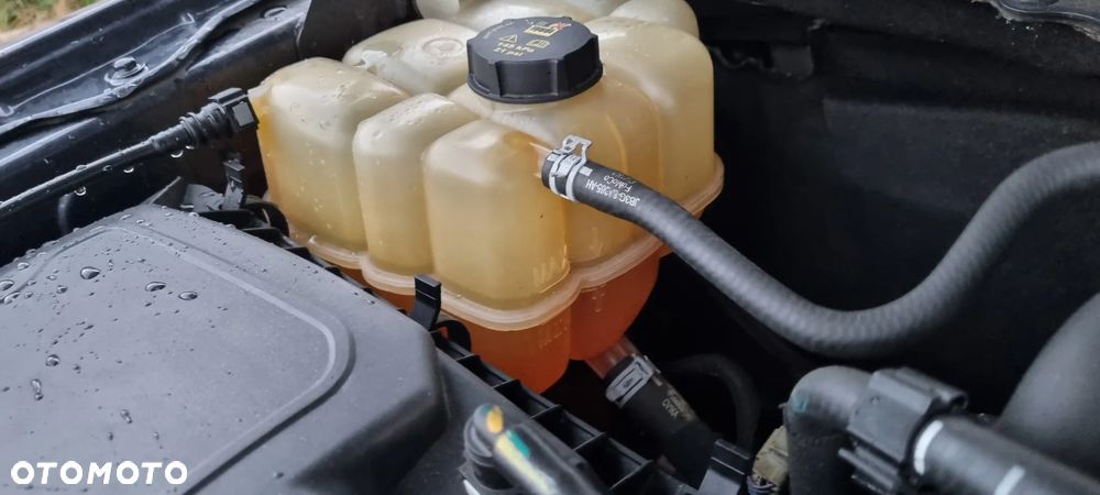 Ford Ranger 2,0 l Panther Autm Wildtrak - 12