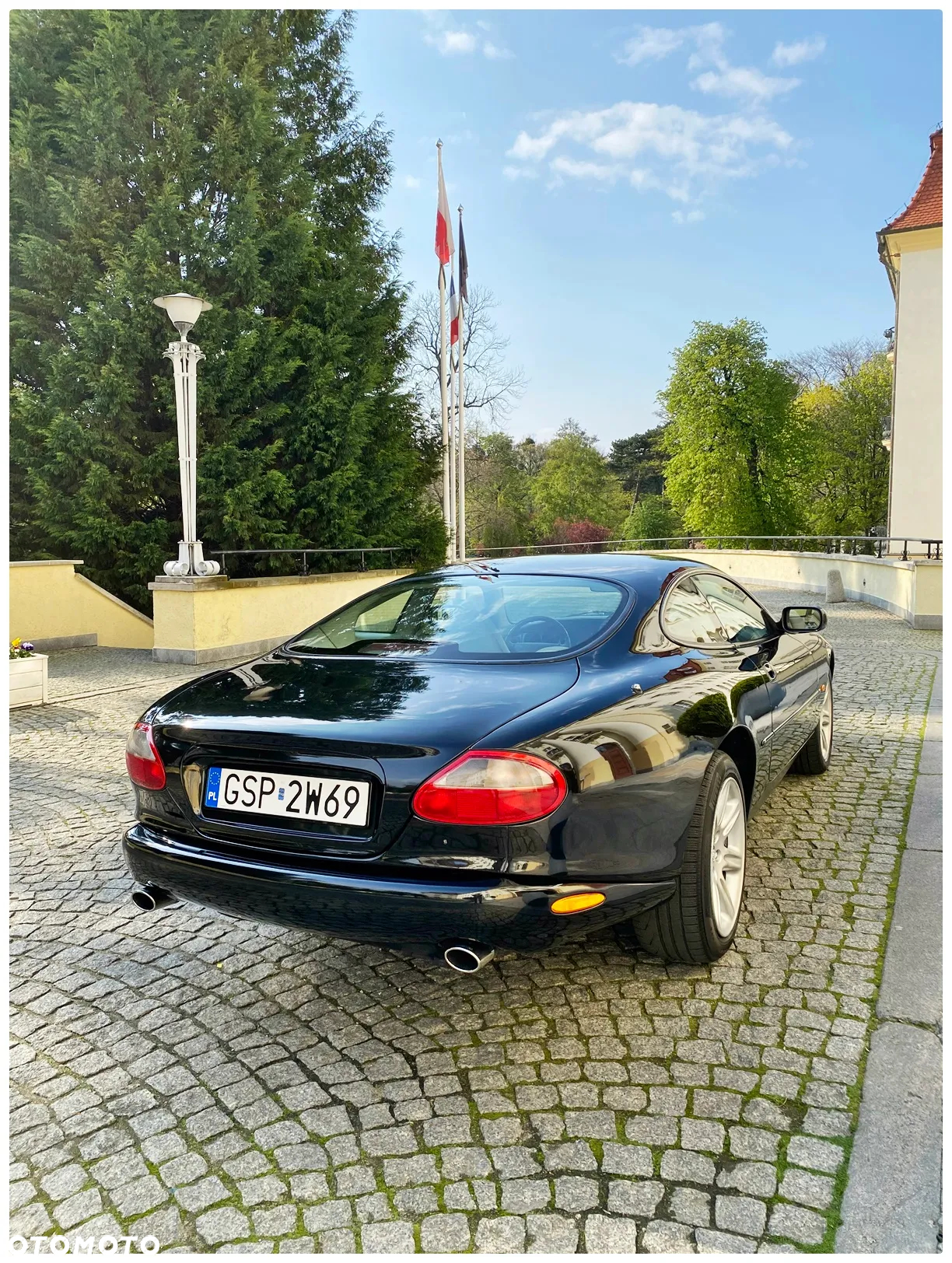 Jaguar XK - 11