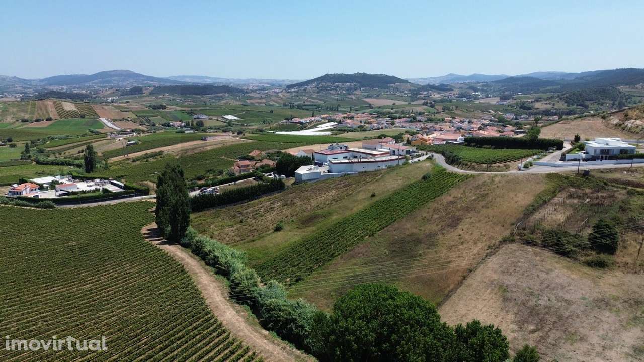 Terreno Rústico com Potencial Industrial – Freiria, Torres Vedras - Grande imagem: 3/18