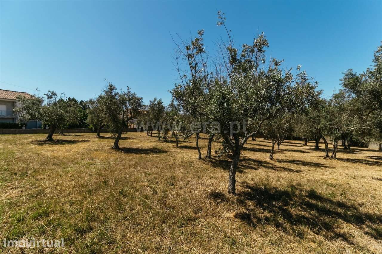 Terreno / Covilhã, Dominguiso - Grande imagem: 5/20