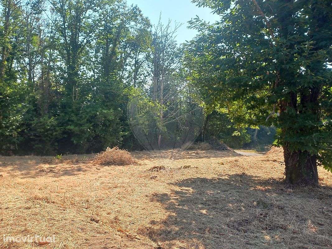 Terreno  para venda - Grande imagem: 3/7