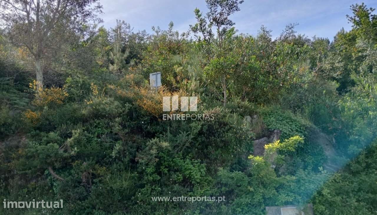 Lote de terreno para venda, Âncora, Caminha - Grande imagem: 3/25