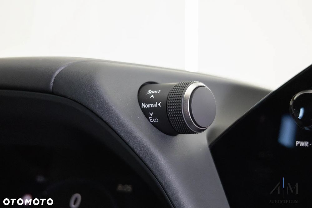 Lexus UX 300h F Sport Design AWD - 24