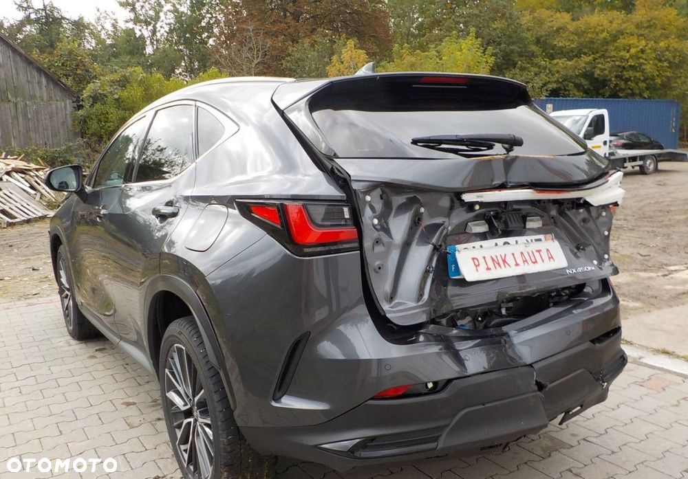 Lexus NX - 13
