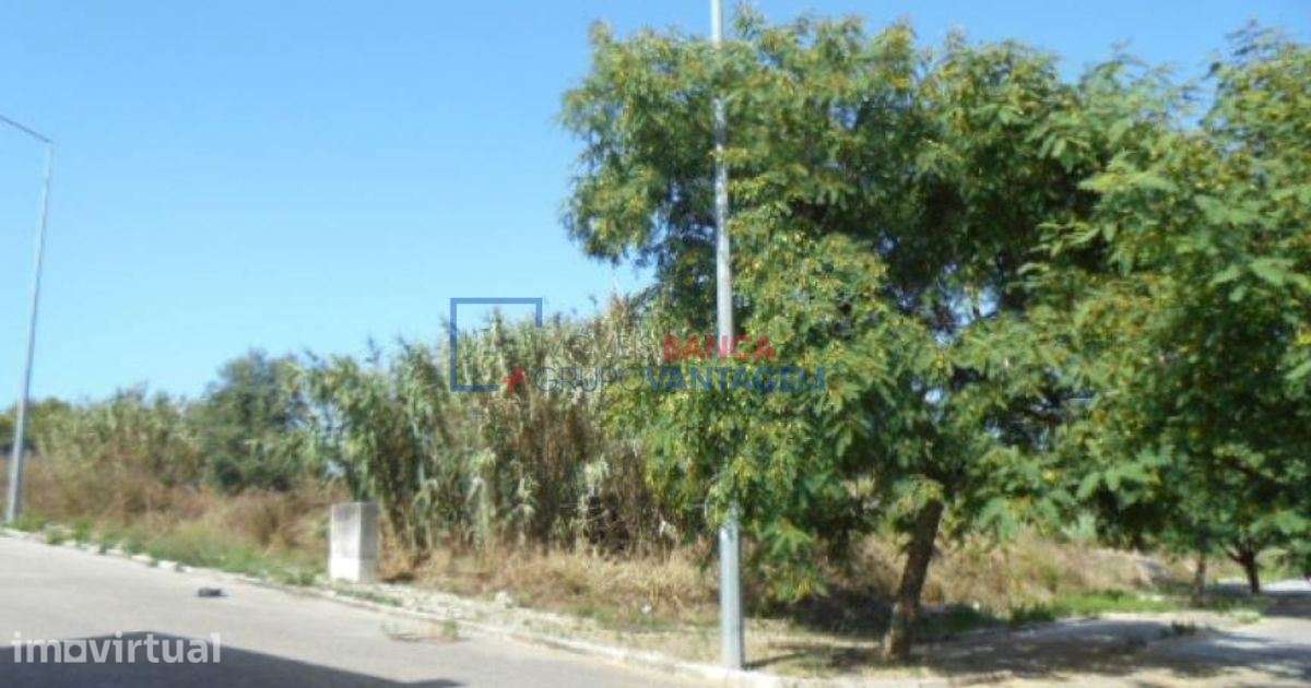 Terreno para construção - Grande imagem: 3/7
