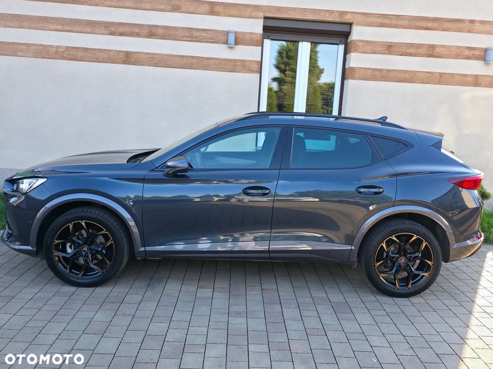 Cupra Formentor 2.0 TDI 4Drive DSG - 14