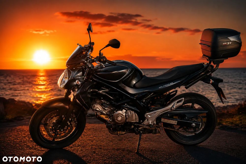 Suzuki Gladius - 1