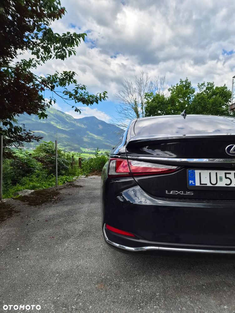 Lexus ES 300h Omotenashi - 4