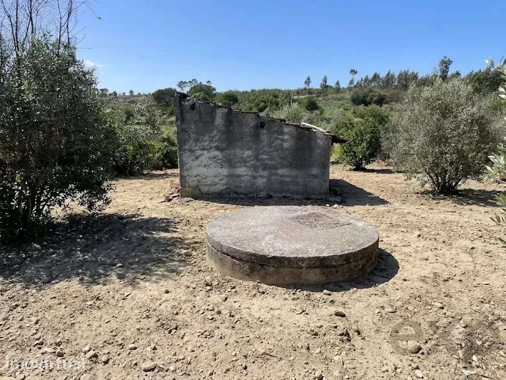 Terreno rústico de 16.000 m2 em Mangualde - Grande imagem: 2/23