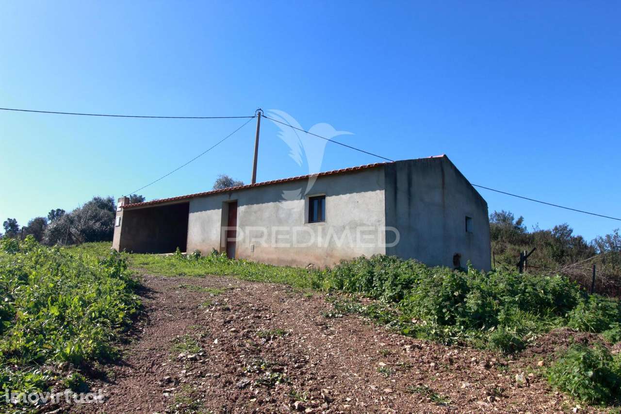 Quinta em São Martinho das Amoreiras. - Grande imagem: 2/27
