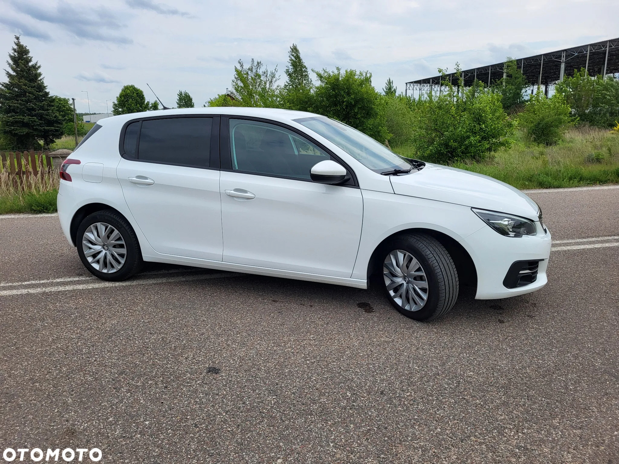 Peugeot 308 1.6 BlueHDi Active S&S - 17
