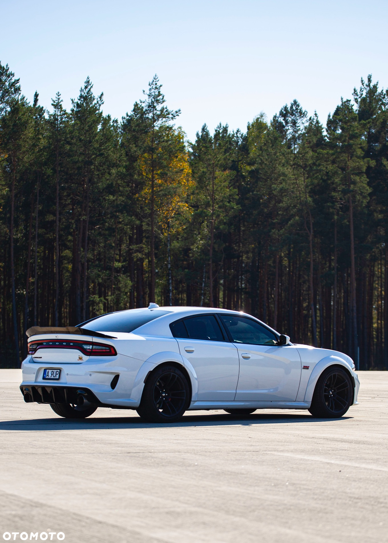 Dodge Charger 6.4 Scat Pack Widebody - 40