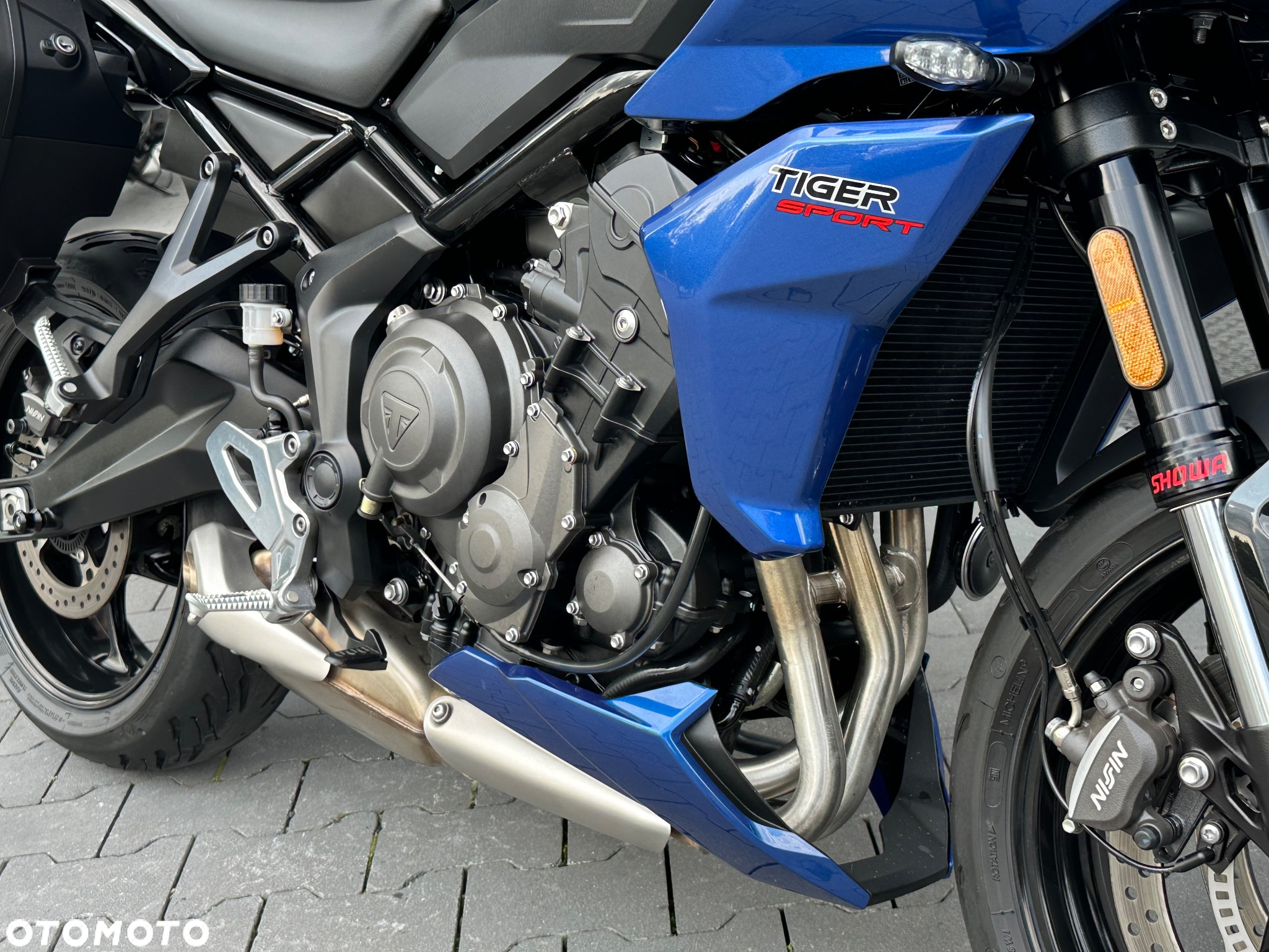 Triumph Tiger - 18