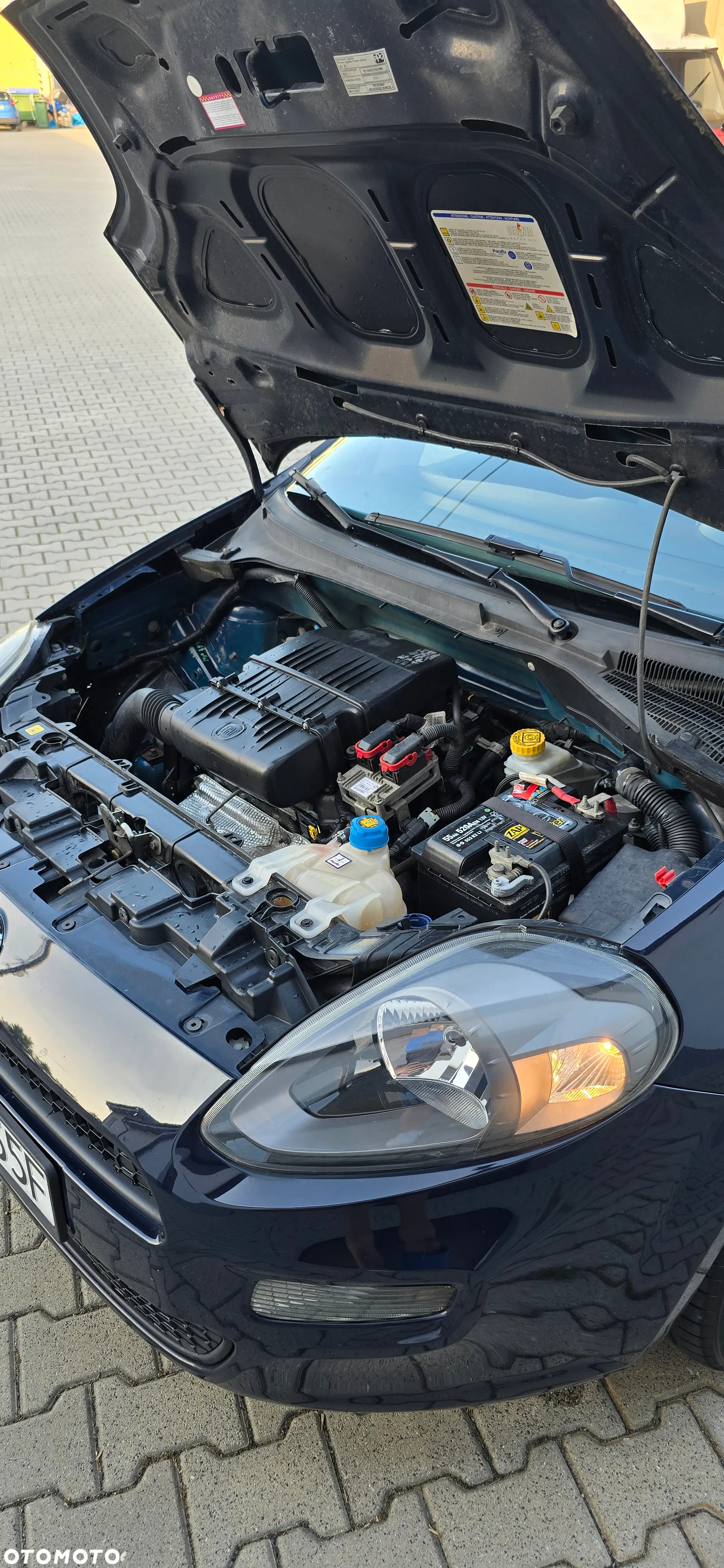 Fiat Punto Evo 1.2 8V Active - 25