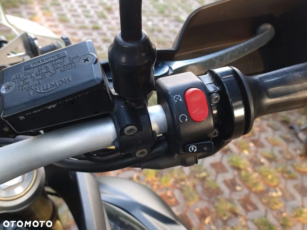 Triumph Tiger - 15