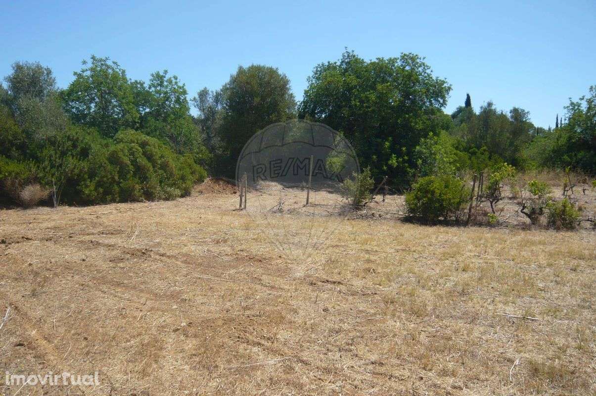 Terreno  para venda - Grande imagem: 2/10