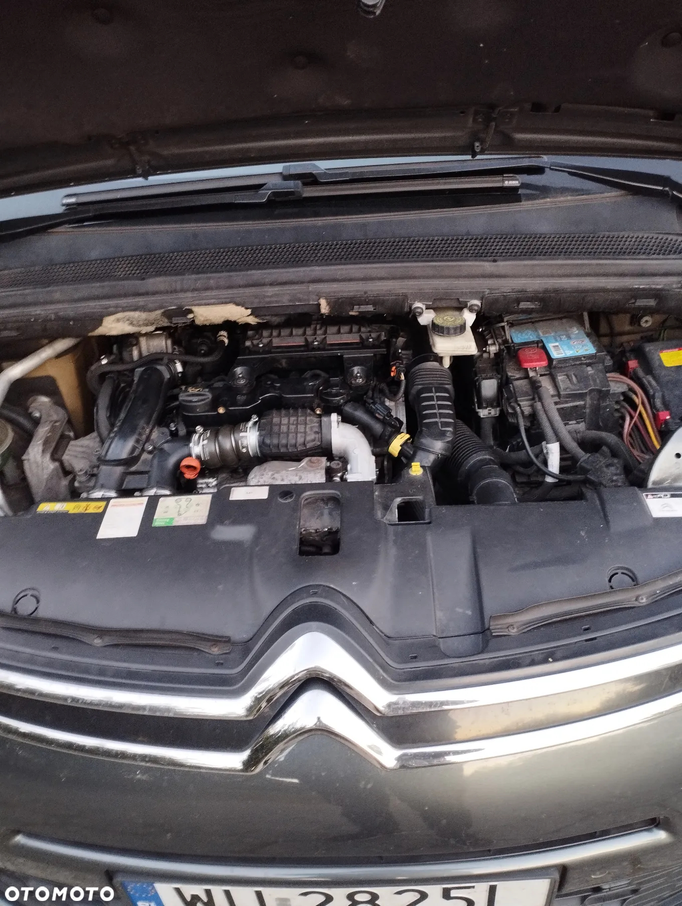 Citroën C4 Grand Picasso 1.6 BlueHDi MoreLife S&S - 13