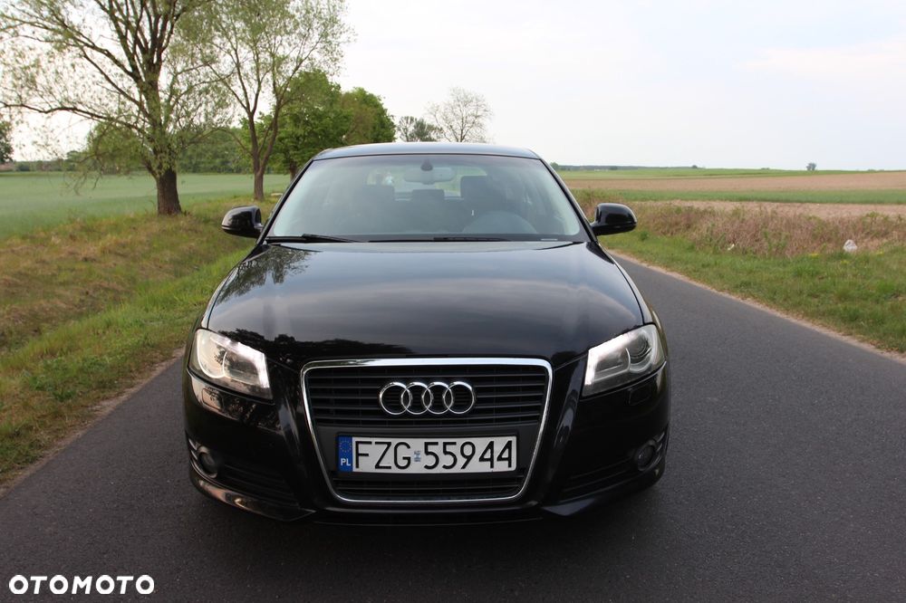 Audi A3 3-drzwiowe 1.9 TDI DPF Ambiente - 9