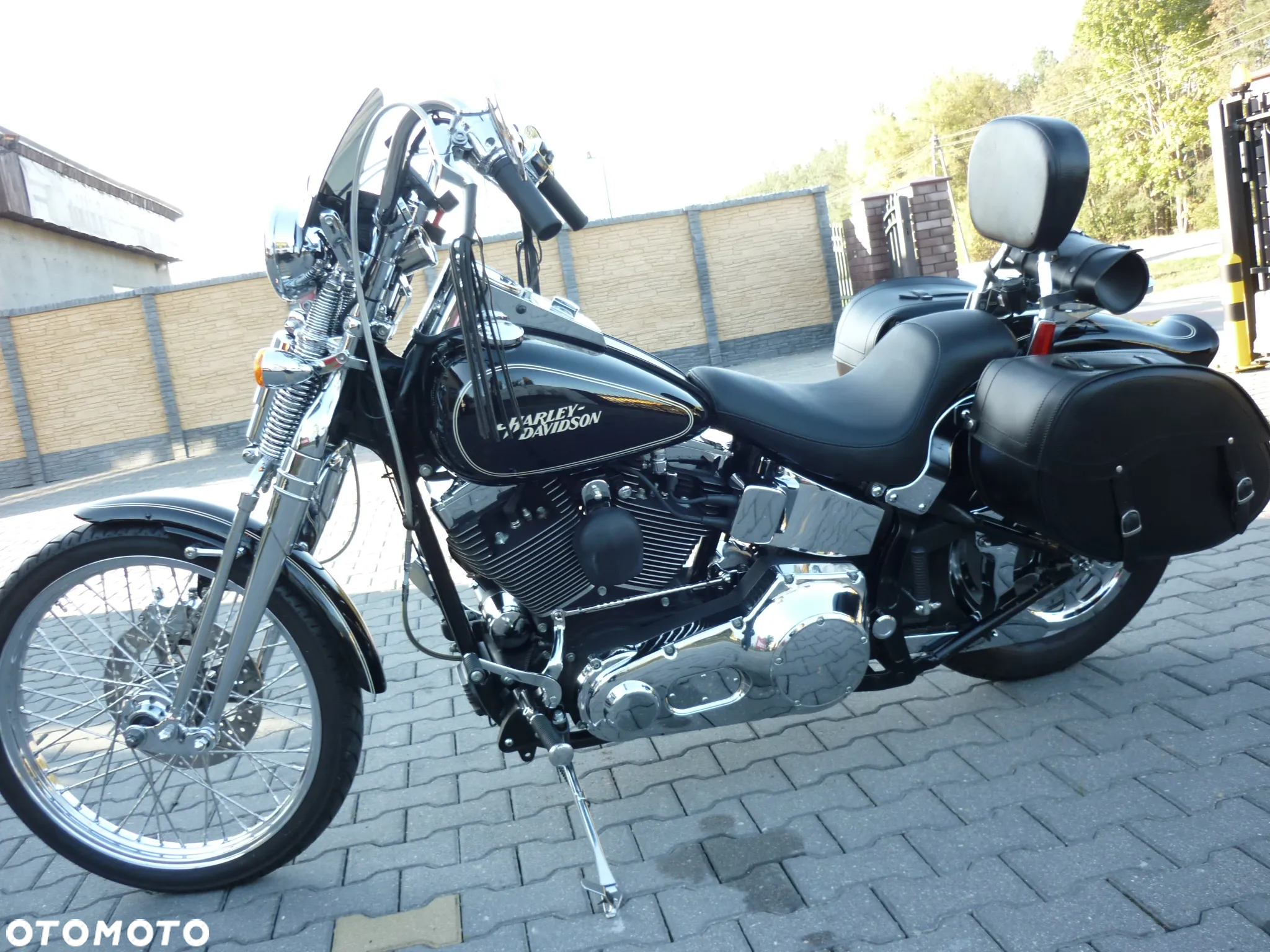 Harley-Davidson Softail Springer Classic - 20