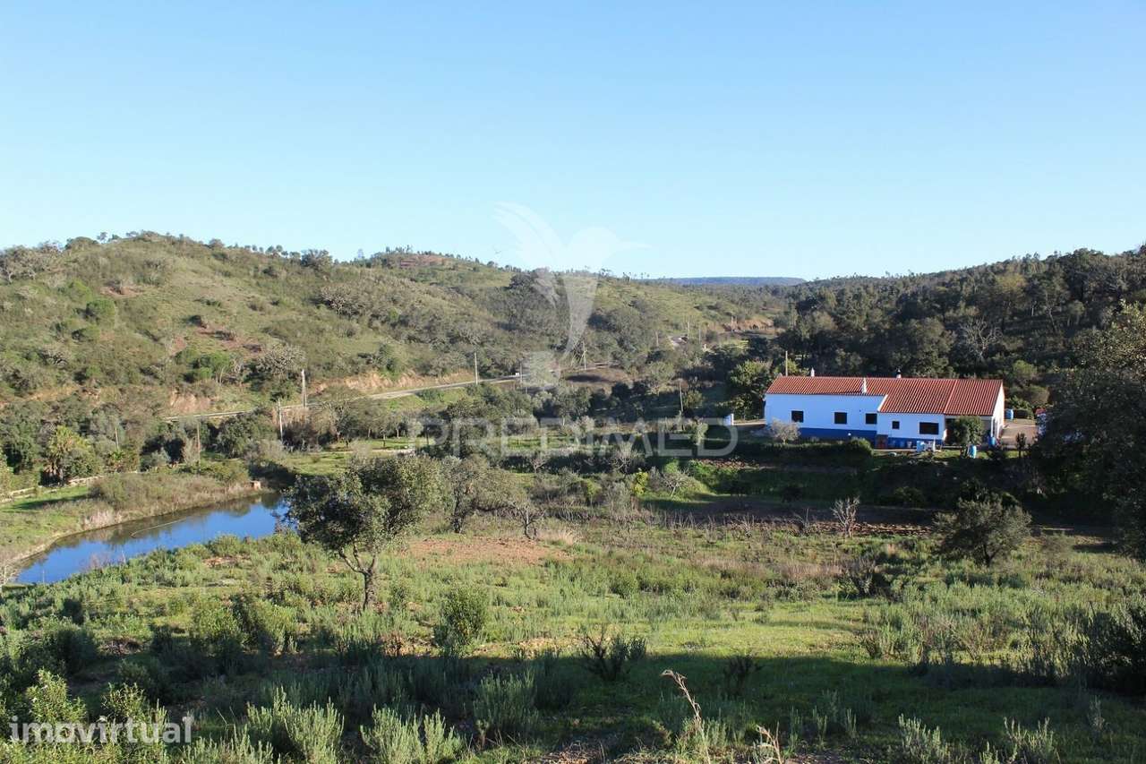 Vende-se Terreno Rústico em São Bartolomeu de Messines - Grande imagem: 3/6