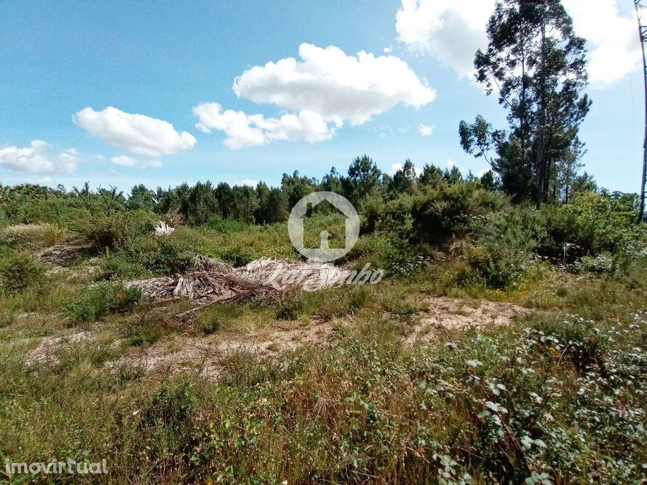 Terreno industrial para construção - Grande imagem: 2/21