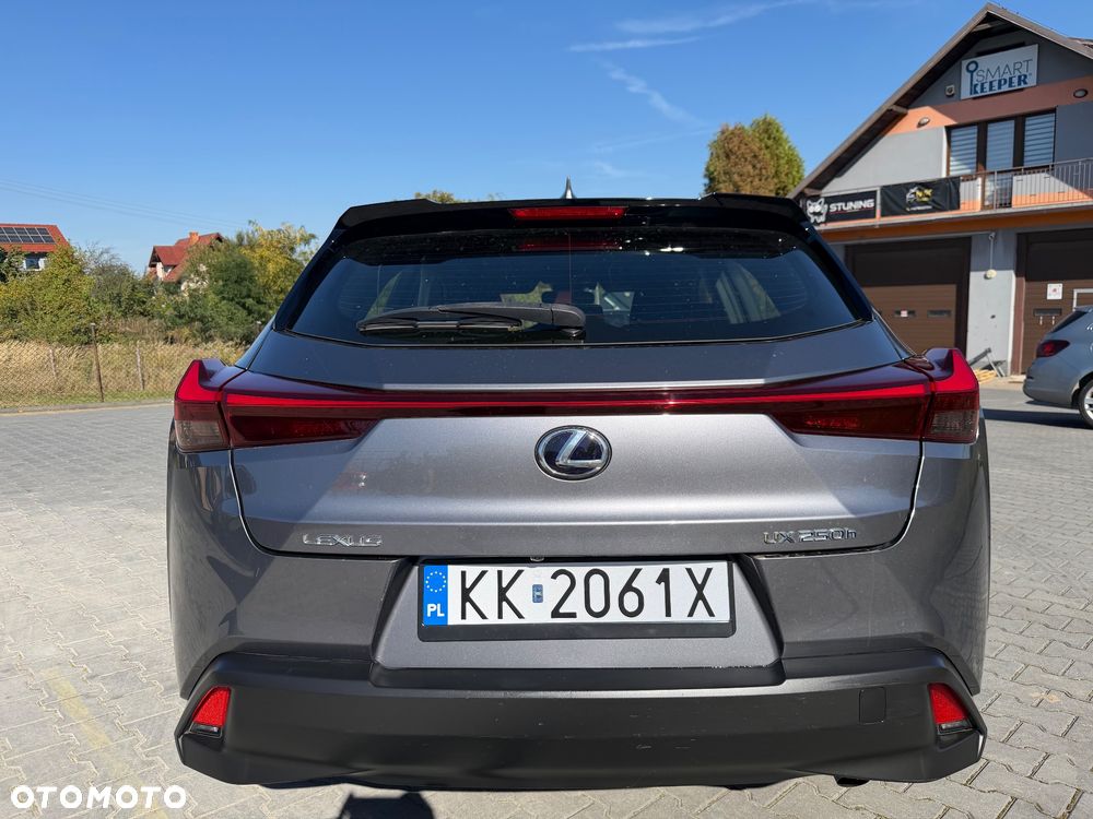 Lexus UX 250h GPF Business Edition AWD - 6