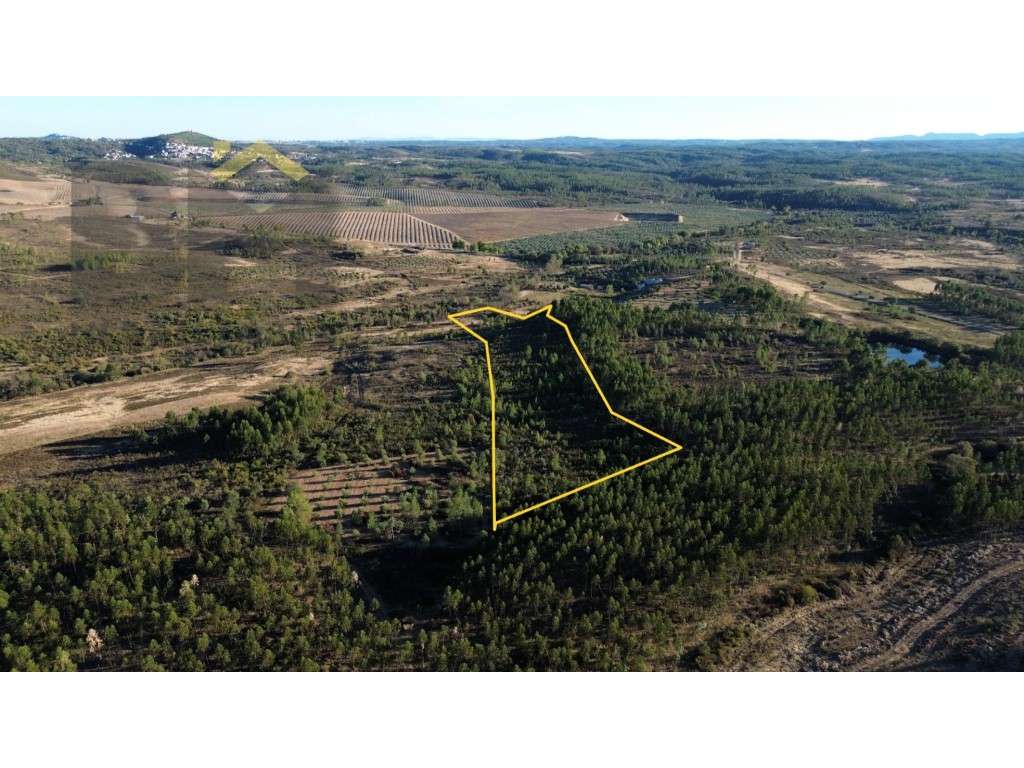 Terreno rústico com 28.640 m² à venda, próximo do Chão da Vã e a 15... - Grande imagem: 2/15