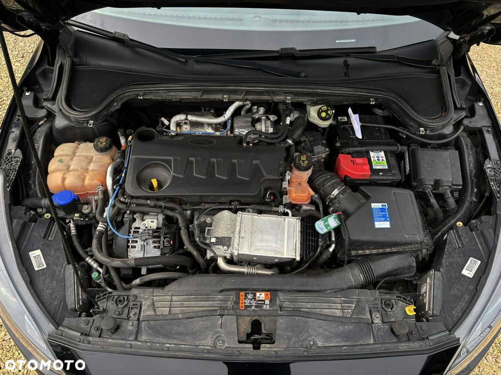 Ford Focus - 8