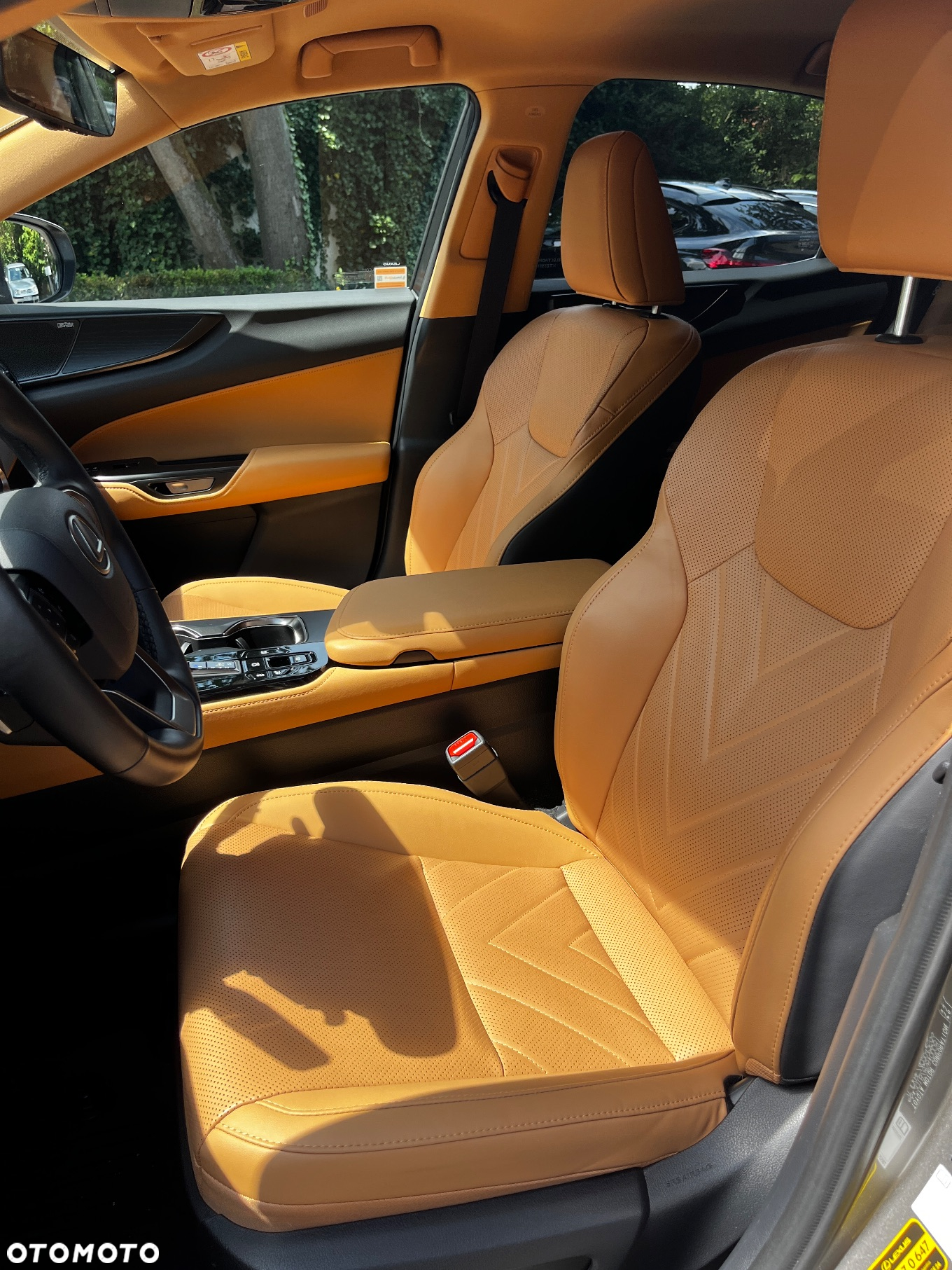 Lexus NX 350h Omotenashi AWD - 13