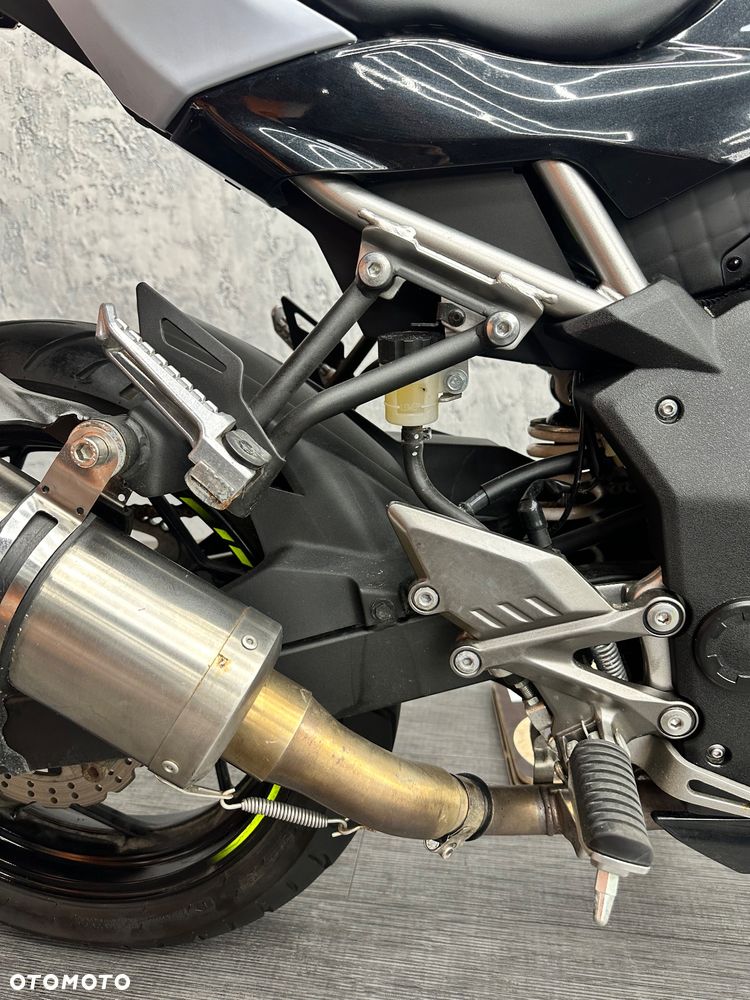 Kawasaki Ninja - 10