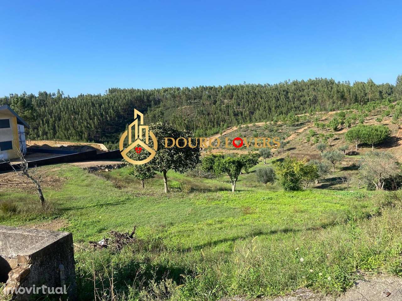 Terreno Urbanizável - Grande imagem: 5/17