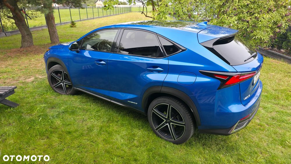 Lexus NX 300h Omotenashi AWD - 14