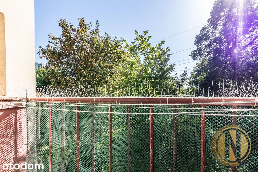 Kantora | Tauron Arena | 1 pok. po remoncie