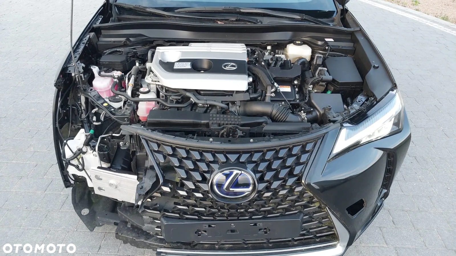 Lexus UX 250h Business Edition - 7